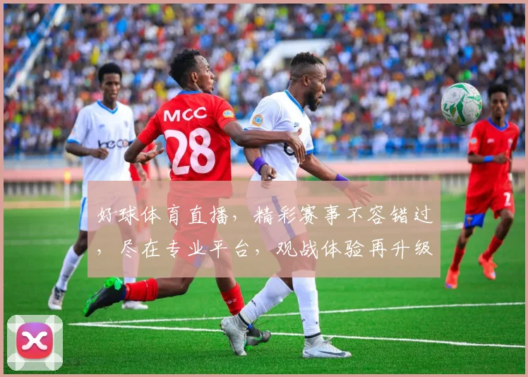 好球体育直播，精彩赛事不容错过，尽在专业平台，观战体验再升级，3大特色亮点，锁定精彩瞬间