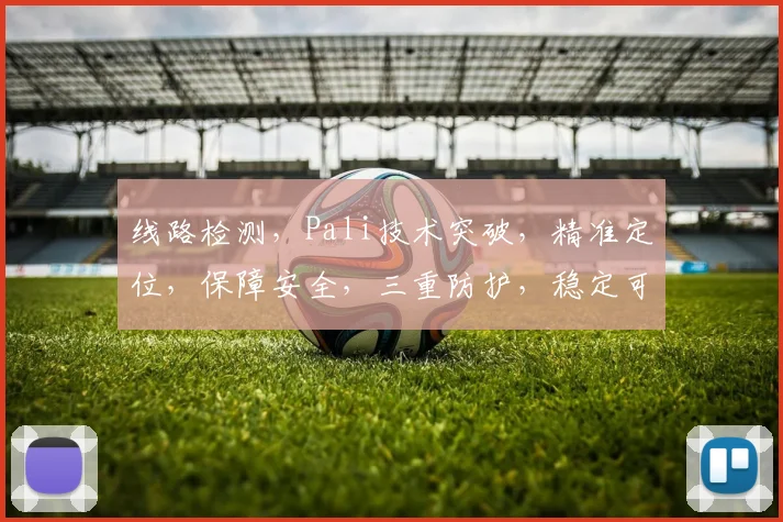 线路检测，Pali技术突破，精准定位，保障安全，三重防护，稳定可靠，创新升级。